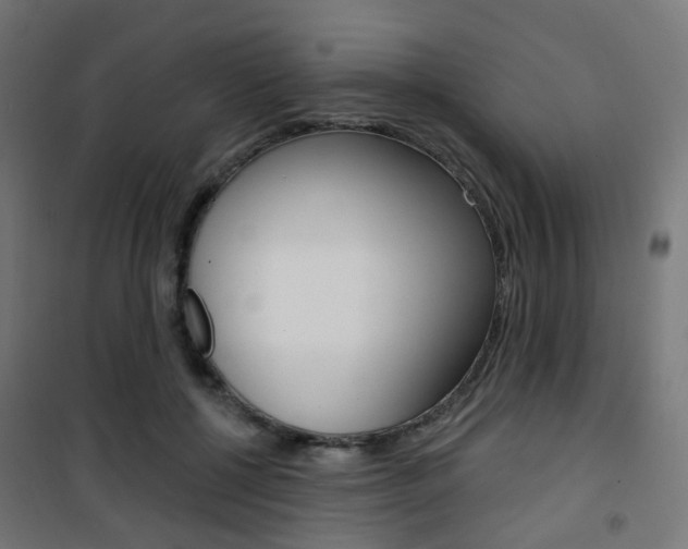 X0000101400552200807071032