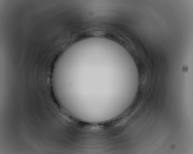 X0000101400553200807071032