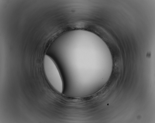 X0000101400555200807071032