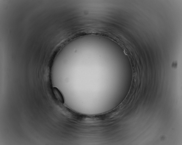 X0000101400556200807071032