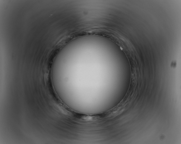 X0000101400558200807071032