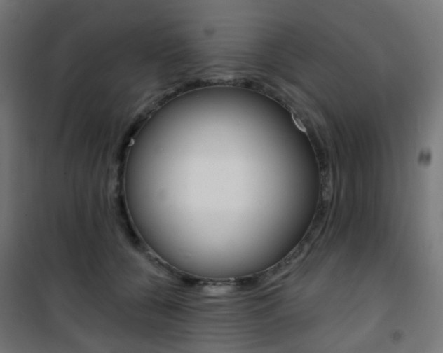 X0000101400560200807071032