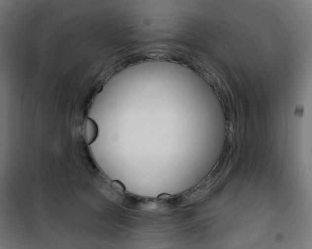 X0000101400561200807071032