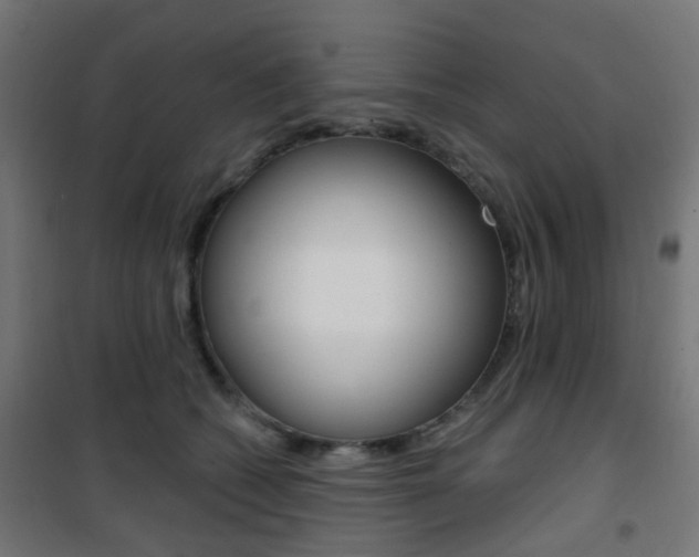 X0000101400562200807071032