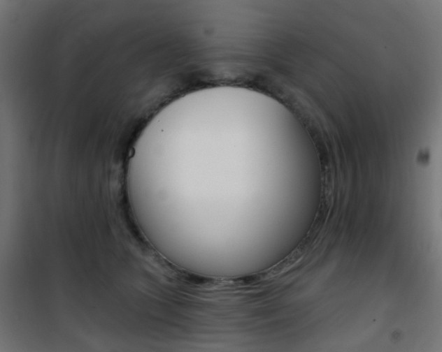 X0000101400563200807071032