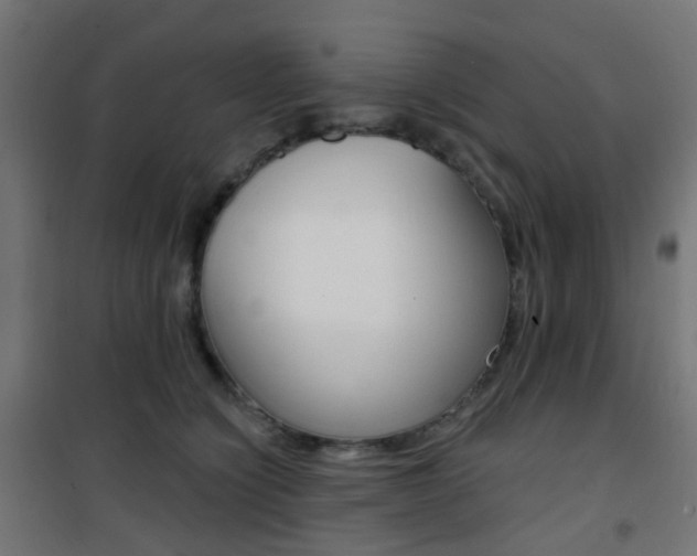 X0000101400564200807071032