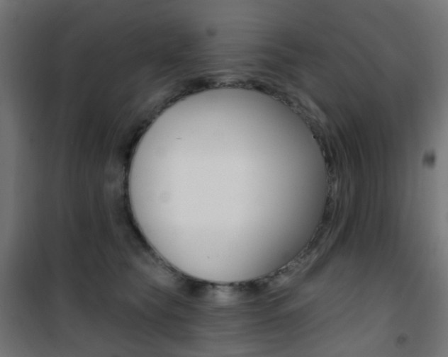 X0000101400565200807071032