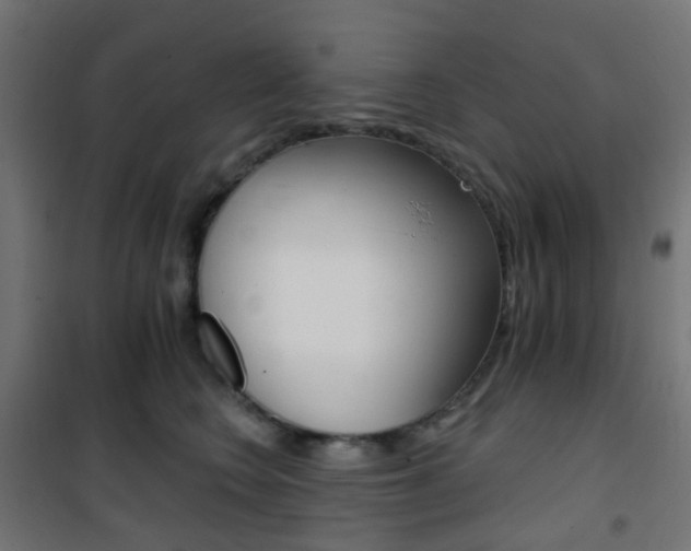 X0000101400566200807071032