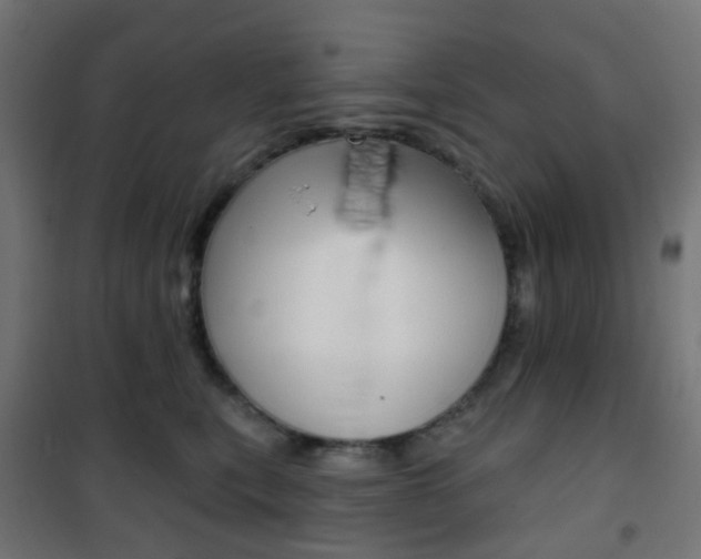 X0000101400567200807071032
