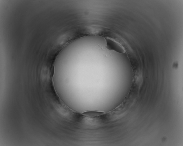 X0000101400568200807071032