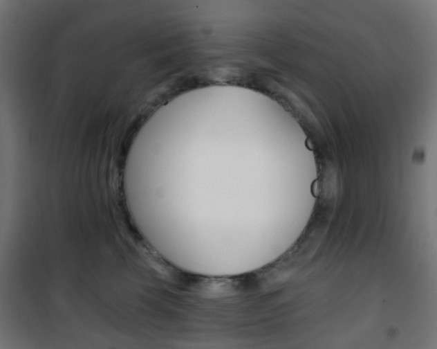 X0000101400569200807071032