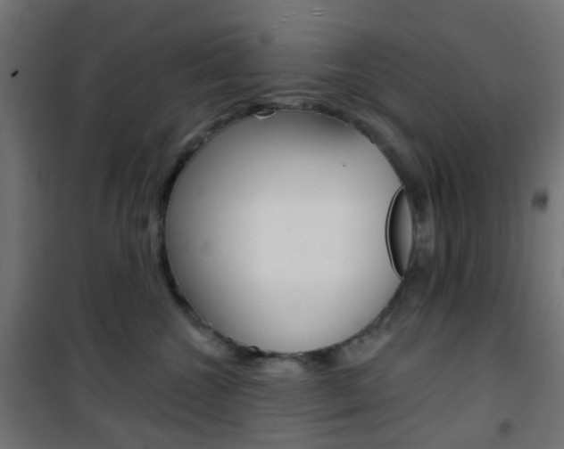 X0000101400572200807071032