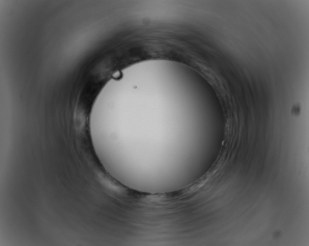 X0000101400574200807071032