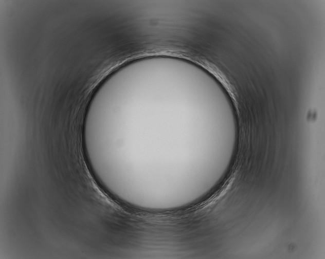 X0000101400577200807071032