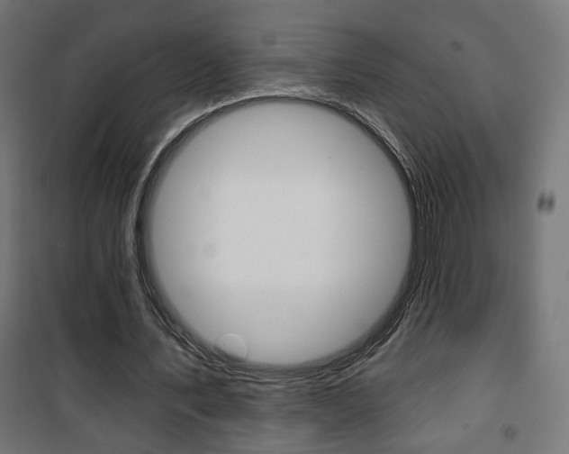 X0000101400579200807071032