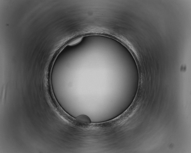 X0000101400581200807071032