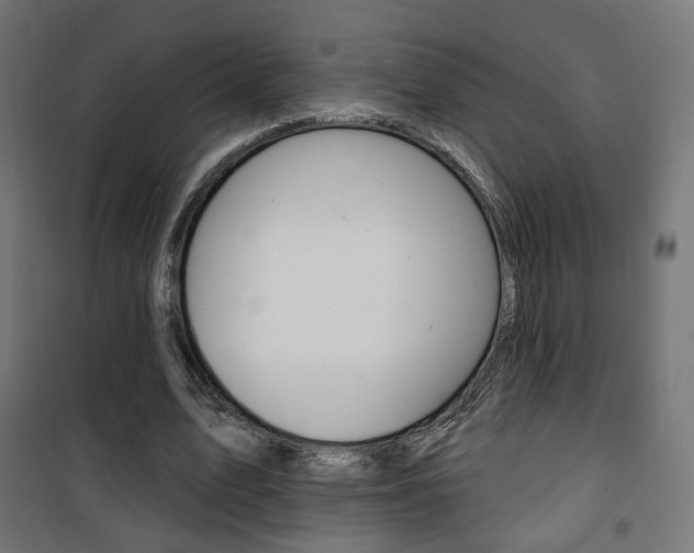 X0000101400583200807071032