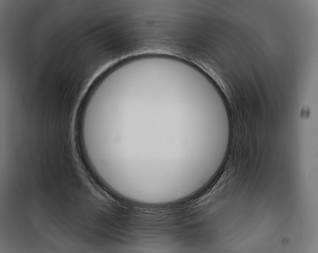 X0000101400584200807071032
