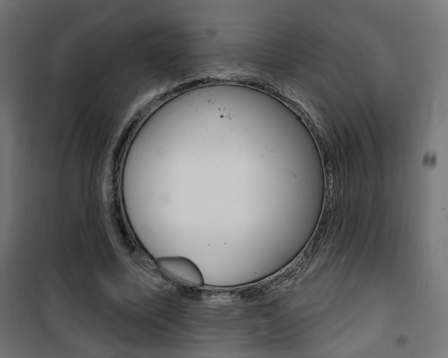 X0000101400587200807071032