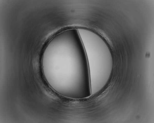 X0000101400588200807071032