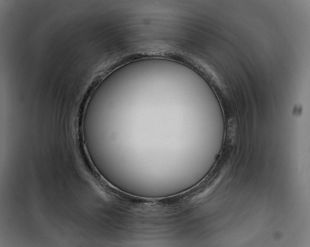 X0000101400589200807071032
