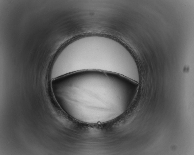 X0000101400592200807071032