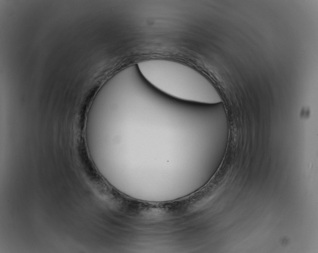 X0000101400594200807071031