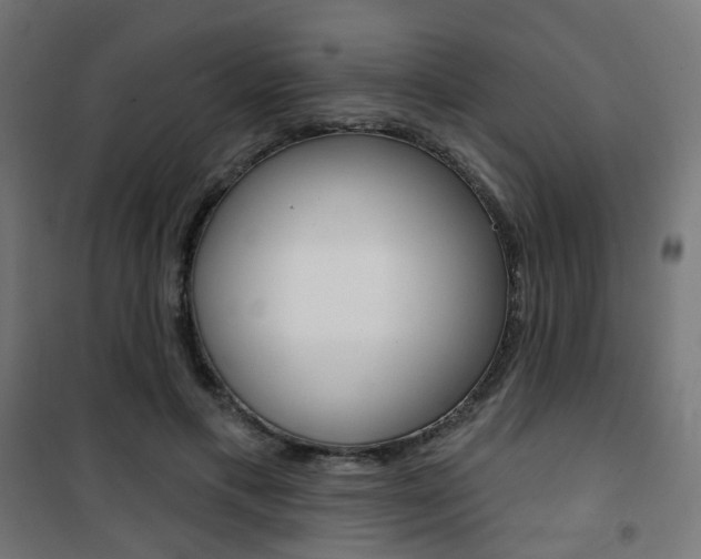 X0000101400597200807071031