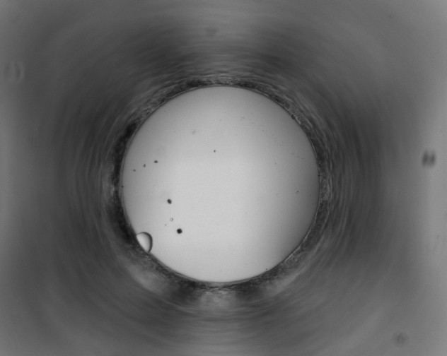 X0000101400599200807071031