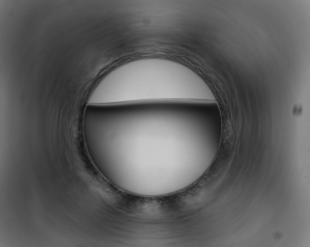 X0000101400600200807071031