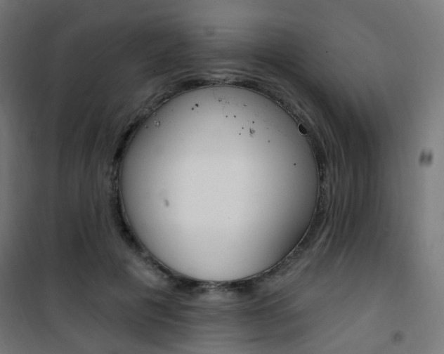 X0000101400601200807071031
