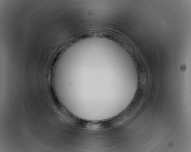 X0000101400602200807071031