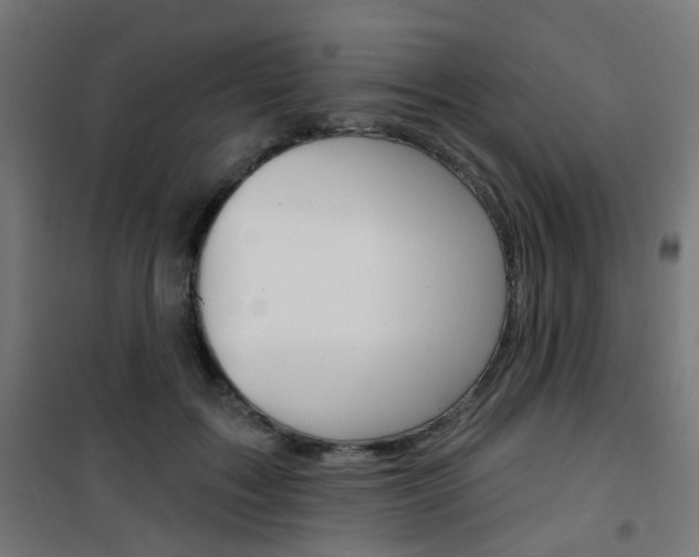 X0000101400603200807071031