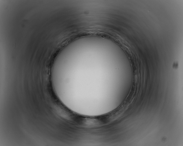X0000101400605200807071031