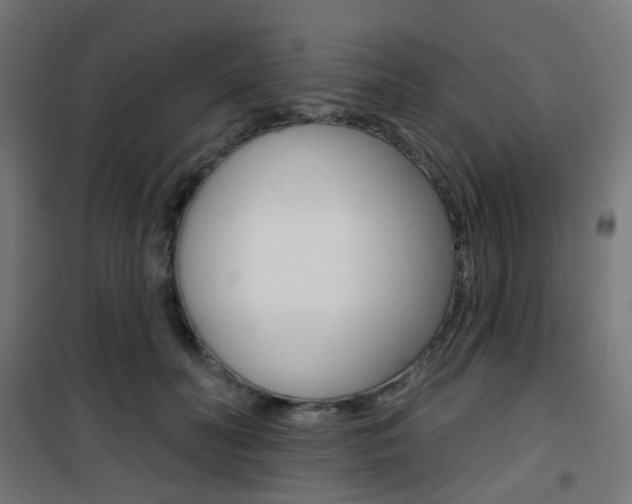 X0000101400606200807071031