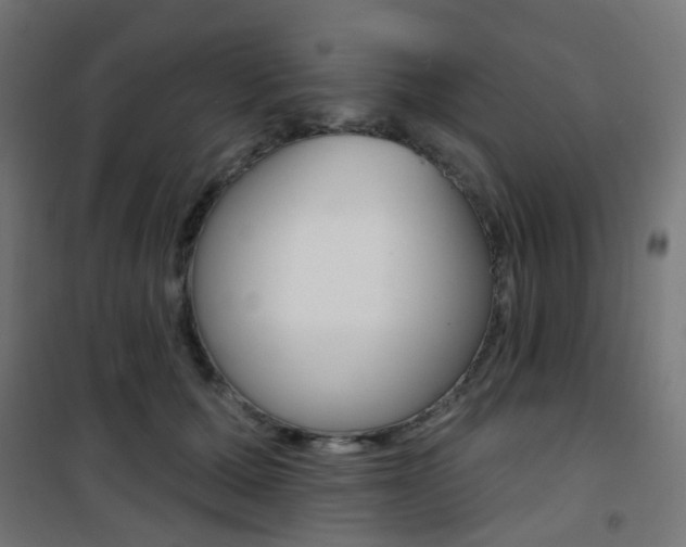 X0000101400607200807071031