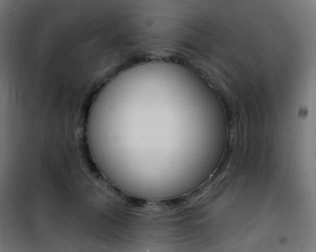 X0000101400608200807071031