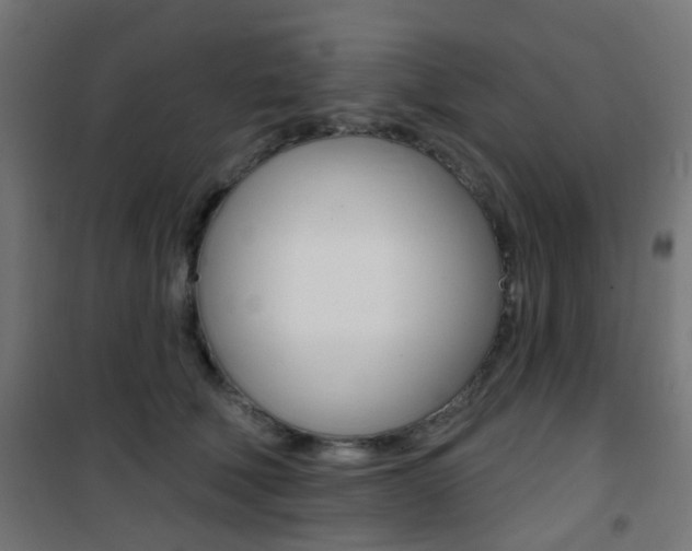 X0000101400610200807071031