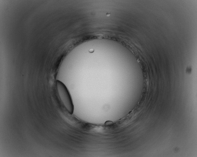 X0000101400611200807071031