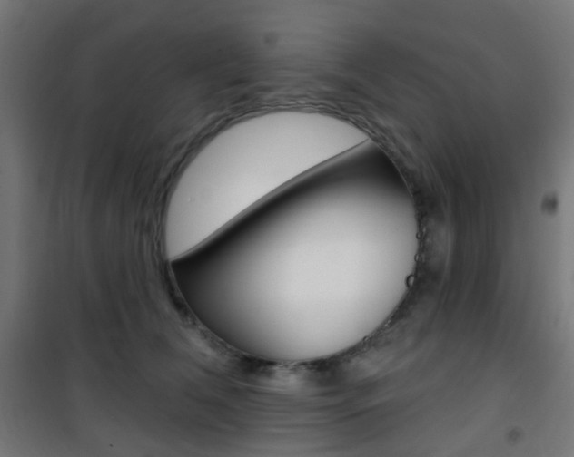 X0000101400612200807071031