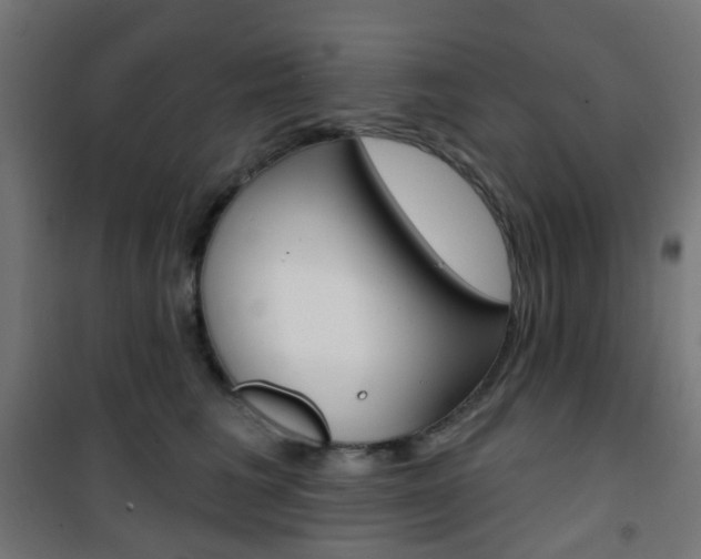 X0000101400613200807071031