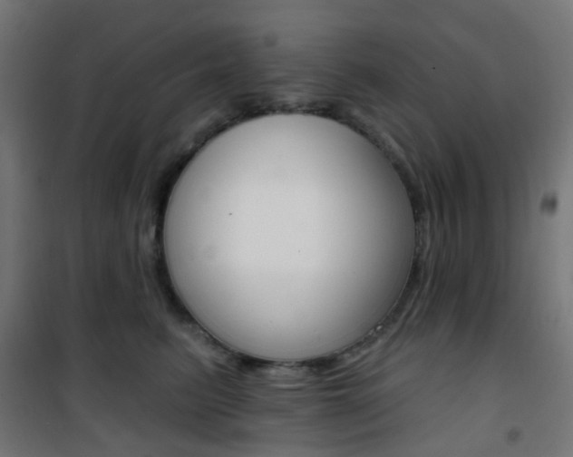 X0000101400615200807071031
