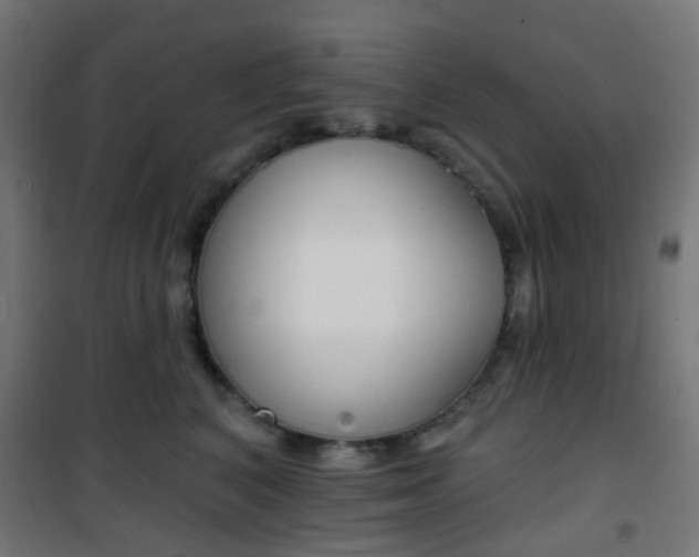 X0000101400616200807071031