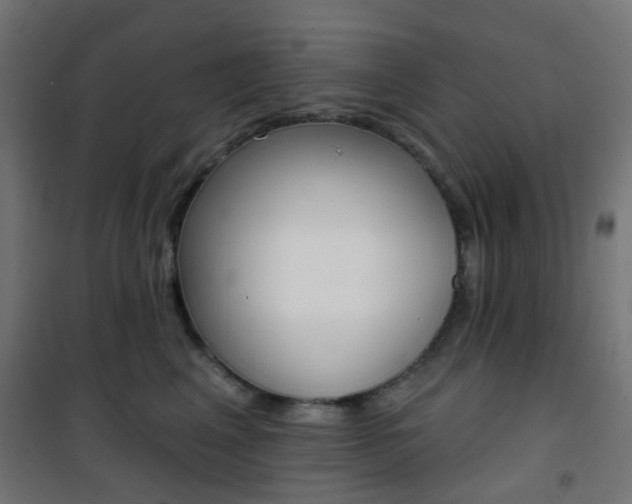 X0000101400617200807071031