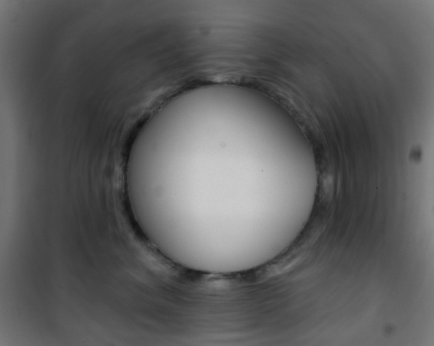 X0000101400620200807071031