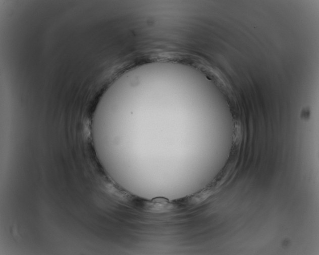 X0000101400621200807071031