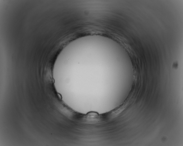 X0000101400622200807071031