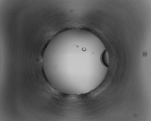 X0000101400624200807071031