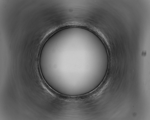 X0000101400625200807071030