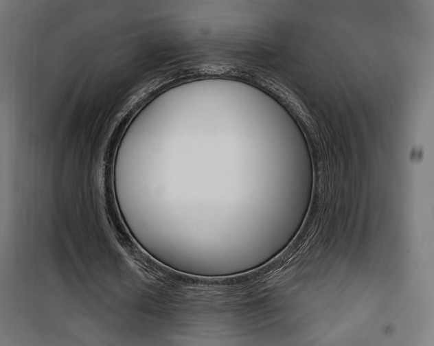 X0000101400626200807071030